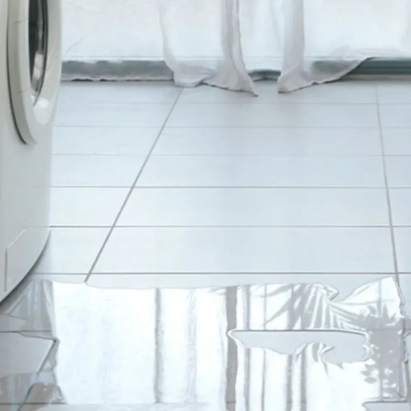 Appliance Leak Cleanup in San Luis Obispo County, CA