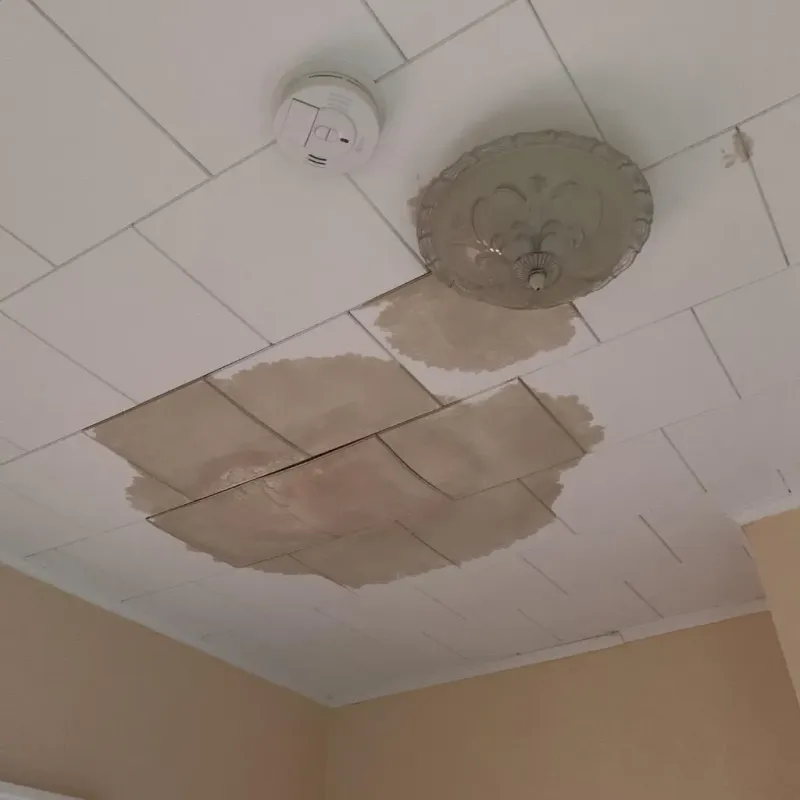 Ceiling Water Damage Repair in San Luis Obispo County, CA