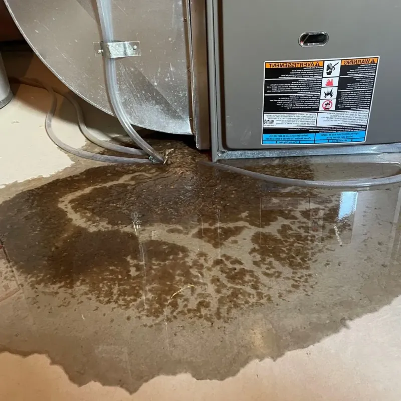 Pipe Burst and Leak Restoration in San Luis Obispo County, CA