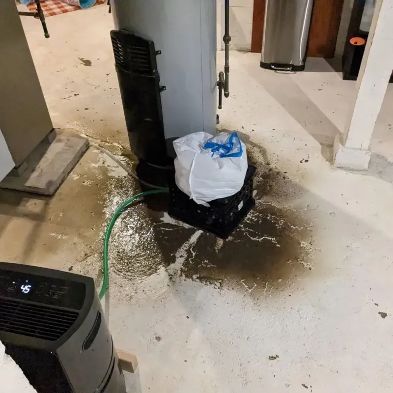 Sewage Backup Cleanup Service in San Luis Obispo County, CA